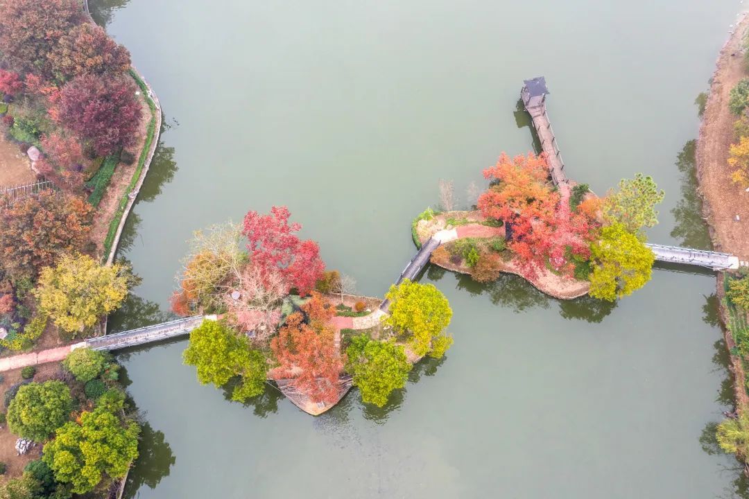 崇明西沙湿地